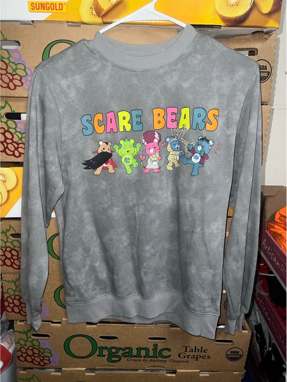 Care Bears Halloween Sweatshirt Juniors size XS 0/2